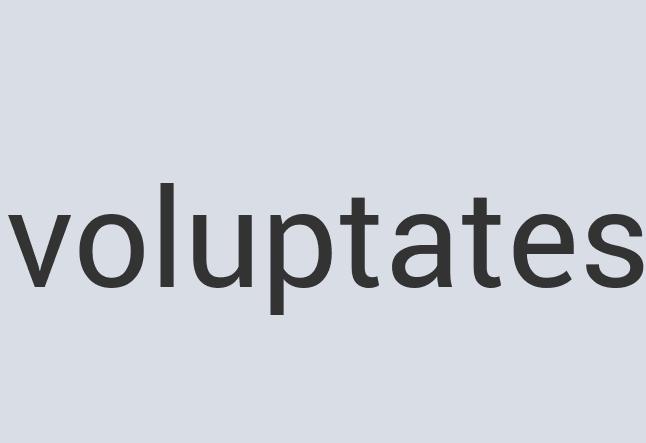 Heavy Duty Wooden Ice Can