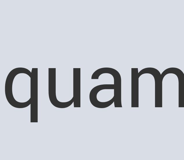 Incredible Paper Coat