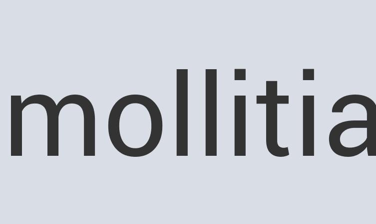 Fantastic Rubber The Atomizer