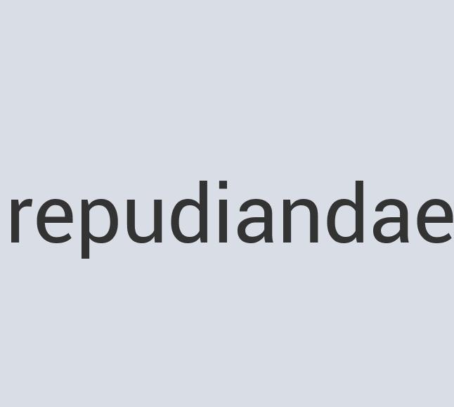 Aerodynamic Paper Rio Rocinante